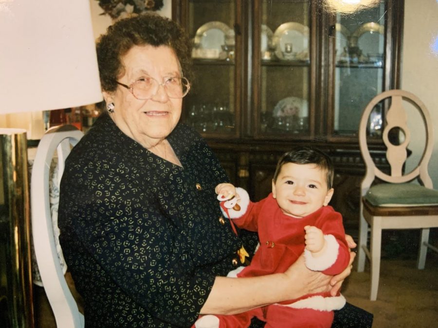 Elvira Moscaritolo’s Journey to America