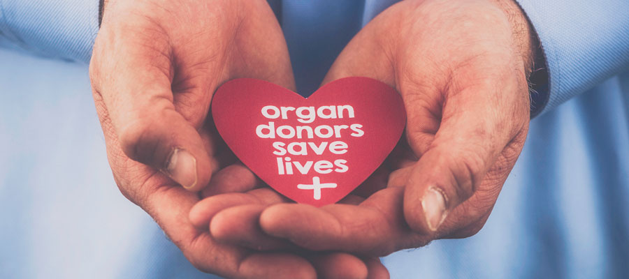 Donate Life Awareness Month: How You Can Save Lives
