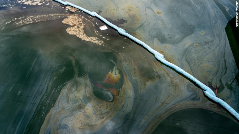 The Effect of Oil Spills on the Environment