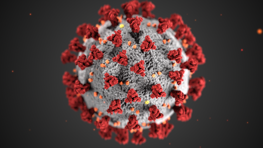 How Does Coronavirus Differ in Completely Opposite States?